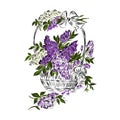 Basket with lilacs. Royalty Free Stock Photo
